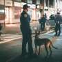Dogs support police officers with PTSD