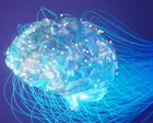 We all know a lack of exercise is bad for our bodies. So what is relying on AI doing to our brains? | Devi Sridhar