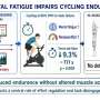 When the brain gets tired, endurance suffers