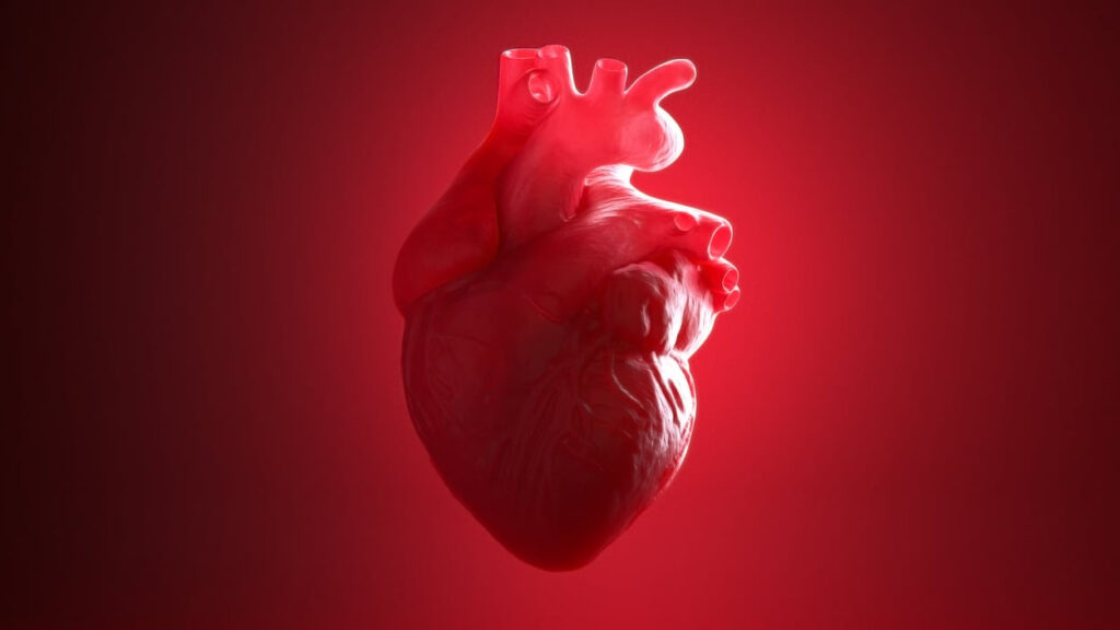 STAT+: Novo Nordisk stops two cardiovascular trials of drug aimed at lowering inflammation