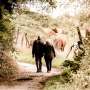 Greater physical activity associated with slower progression in Parkinson's