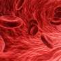 A blood-based approach could enable personalized immunotherapy without the need for a tumor biopsy