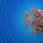 Tumor digital twins took months to build—AI now drafts them in minutes