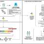 Safety prompts can help AI models make safer clinical choices