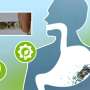 Batteries that safely break down in the GI tract could improve ingestible devices