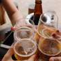 Alcohol and the brain interact through immune cells, new research shows