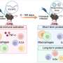 Nasal vaccine additive improves flu survival in mice even 100 days after treatment