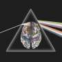 Alzheimer's disease and aging reshape brain communication in different ways
