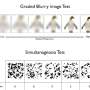 Visual processing tests could help diagnose some common forms of dementia