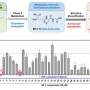 Metabolite-inspired compounds show promise for ulcerative colitis drug discovery