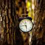 Brain signals thought to predict events may instead track time