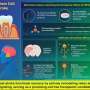 Cell-free treatment reduces brain damage and improves recovery after stroke in mice