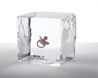 Tell us: what happened after you froze your eggs?