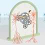 Setting the brain's internal clock: Single neuron type enables learning of motor timing
