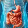 Gut microbes from people with schizophrenia alter mouse behavior
