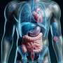 Bleeding complications rise after heart attacks as major cardiovascular events decline