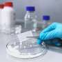 New dressing design aims to fight wound infections while supporting skin repair