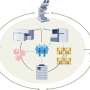 A new era of discovery for immunology: Expert Q& A