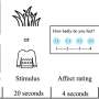'Reporter game' helps regulate sensory-brain activity in autistic youth, MRI study finds