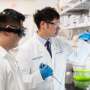 Untangling the link between depression and gut disease