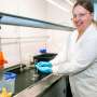 Allergic to gold jewelry? Lab tests reveal gold can dissolve from earrings under specific chemical conditions
