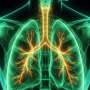 Very severe long COVID linked to differences in lung and mouth microbiomes