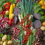 How a diet free from animal proteins challenges the liver