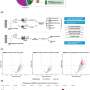 'Dark genome' reveals different routes to inflammation in age-related condition