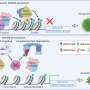 One gene helps drive growth in two childhood brain tumor groups that lack targeted therapies
