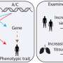 Bigger data reveal the second, third and fourth switches controlling a gene