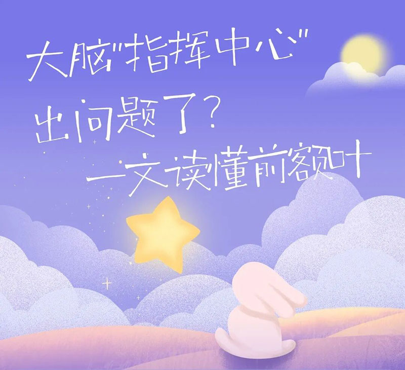 今天起，请尊重一下你的前额叶！