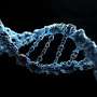 New genetic testing guidance could improve patient diagnosis worldwide