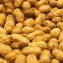 Peanut consumption affects the lipid profile circulating in the blood