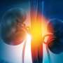Early complications common in older kidney transplant recipients