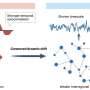Anesthesia produces shared neural activity patterns across six species