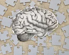 Let your mind wander, don’t retire and stop worrying: surprising ways to help save your brain from the cognitive cliff