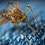 AI-powered device can fight against malaria by detecting and repelling mosquitoes