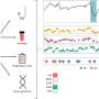 Insights about cachexia, one of cancer's most common complications, hiding in routine patient data