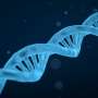 FDA approves first gene therapy treatment for Sanfilippo syndrome type A