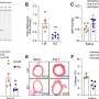 Researchers uncover promising new target for treating high blood pressure