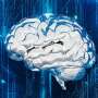 Ready, set, exhale: Breathing out linked to faster responses