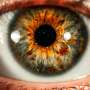 What your eyes could reveal about your heart health