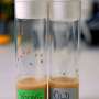 Activating 'energy saver' mode significantly extends lives of animals in preclinical study