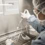 'Plug-and-play' CAR T technology adapts as cancer changes