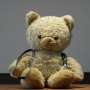 Teddy bears with medical devices help normalize them for children