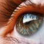 The brain on the edge of chaos: What keeps our vision under control?