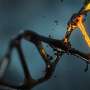 Rare genetic variants linked to lower cognitive test scores in expanded analysis