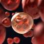 Cancer trial drug may work differently than scientists believed, raising concerns for clinical research