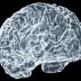 The shape of water at a key tau hotspot helps drive dementia-linked clumping