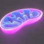 First single-cell DNA analysis reveals mitochondrial damage in vulnerable Parkinson's brainstem neurons
